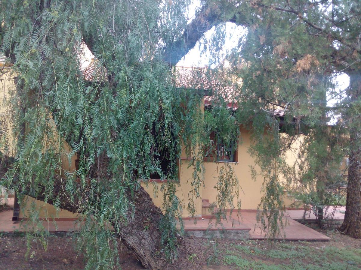 B&B Eleonora - Palermo — Foto 3